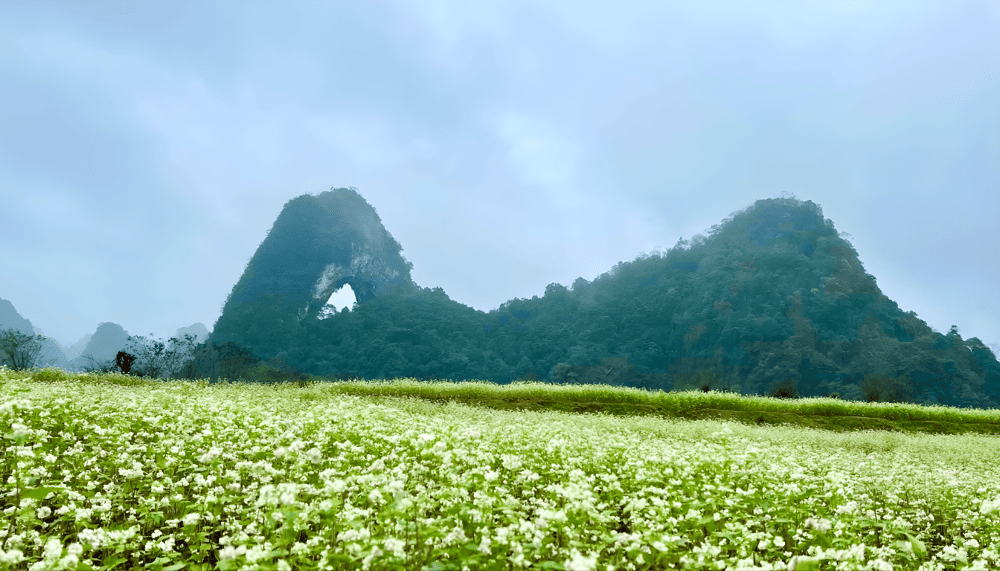 Nui Thung captivates visitors with its massive circular hole carved through the limestone peak (Source: Fanpage N&uacute;i Thủng - N&uacute;i mắt thần, Tr&agrave; Lĩnh, Cao Bằng)